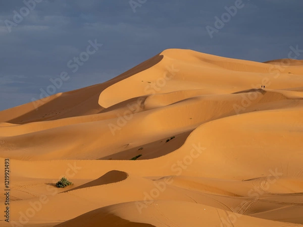 Obraz Sand Dune Patterns - Sahara Desert