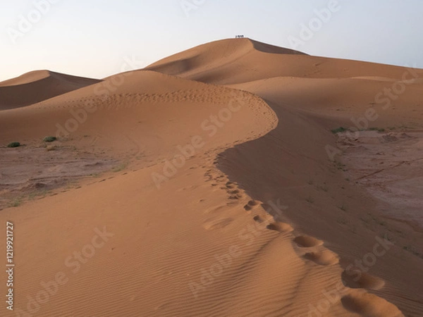 Obraz Early morning footsteps up a large Sahara Desert sand dune