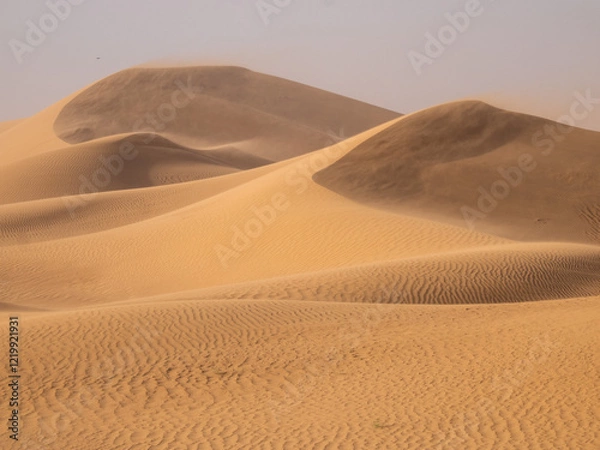 Obraz High sand dunes in the Sahara Desert, Morocco