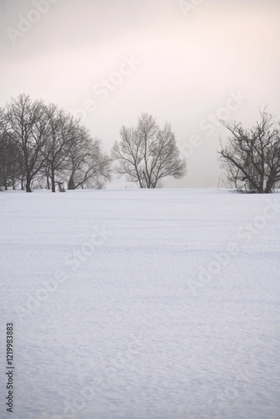Obraz 朝の風景　冬