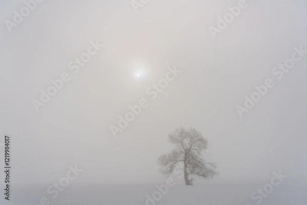 Fototapeta 朝の風景　冬
