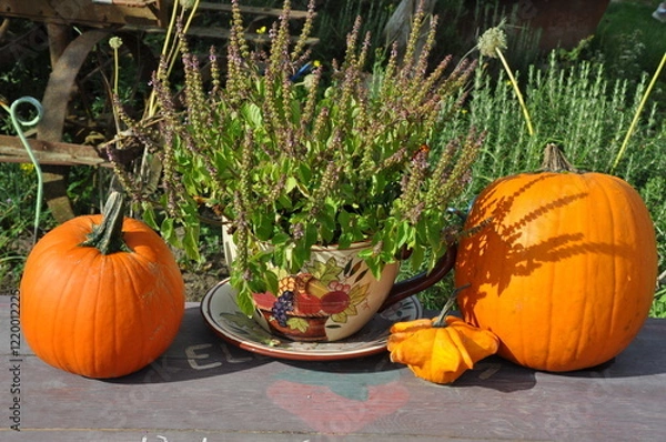 Obraz Pumpkins and teacup table decoration.