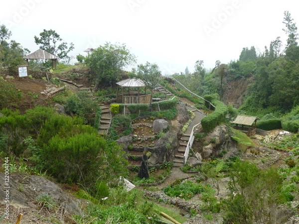 Obraz Nature des îles