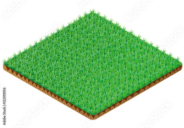 Obraz Grass tile. Isometric view. Vector illustration.