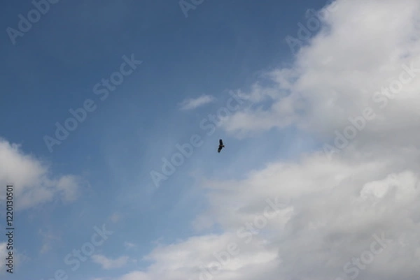 Obraz 삿포로 여행, SAPPORO TRIP