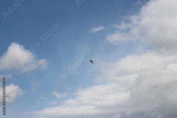 Obraz 삿포로 여행, SAPPORO TRIP