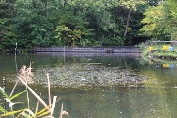 Obraz 삿포로 여행