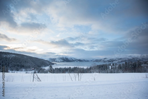 Obraz Frozen landscape