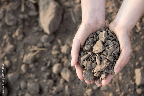 Fototapeta Wasted soil that can be improved-drought concept