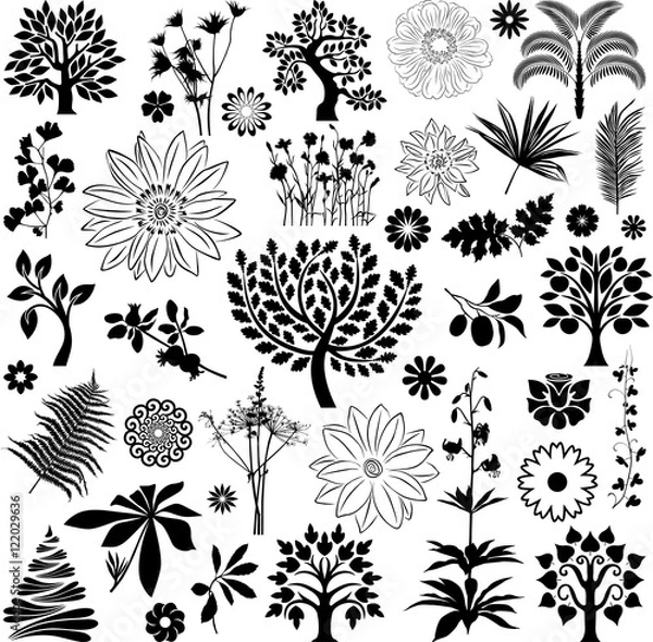 Obraz Trees and plants VII