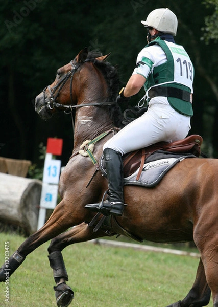 Obraz Vielseitigkeit