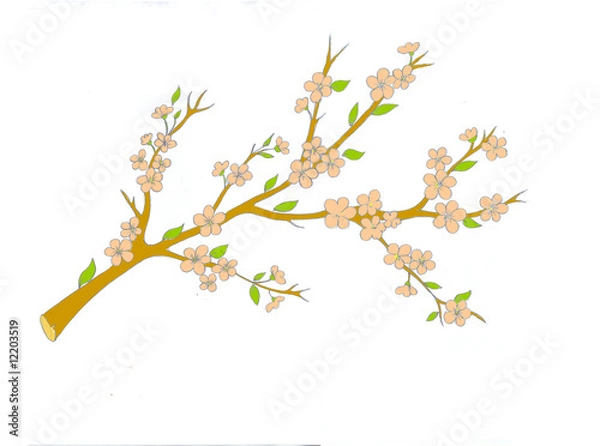 Obraz fiore di pesco