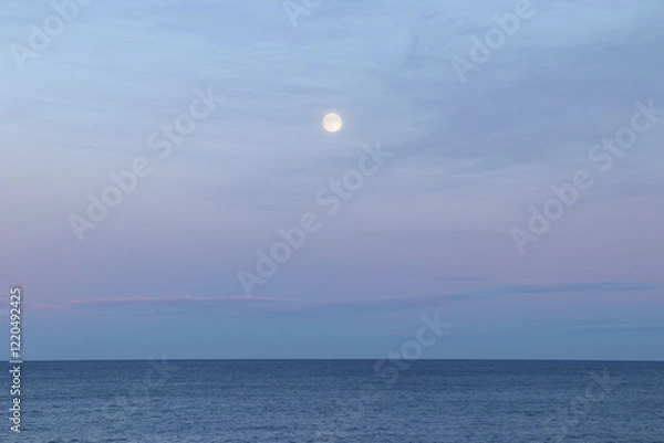 Fototapeta ビーバームーン