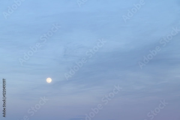 Fototapeta ビーバームーン