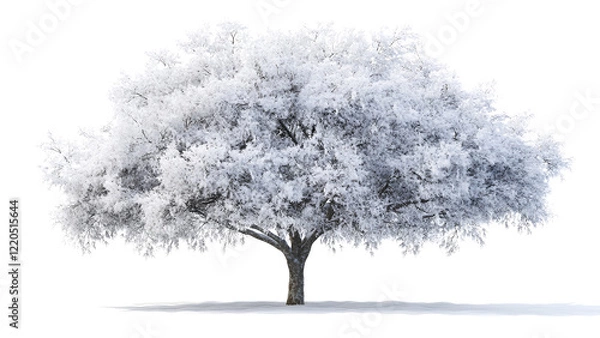 Obraz Snow-Covered Tree Isolated on White Background - Winter Wonderland