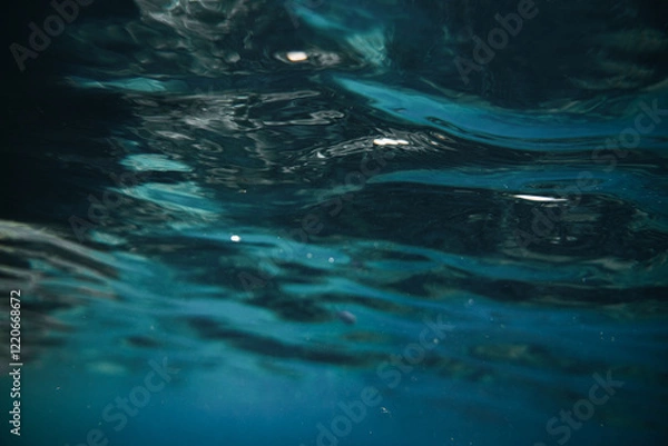 Obraz Textura del mar desde dentro