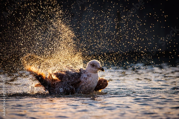 Obraz baño en el lago