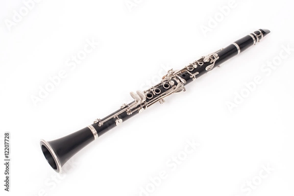 Obraz Clarinet on white