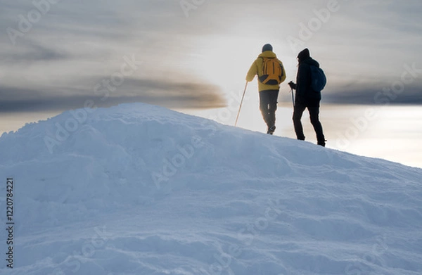 Obraz skier standing