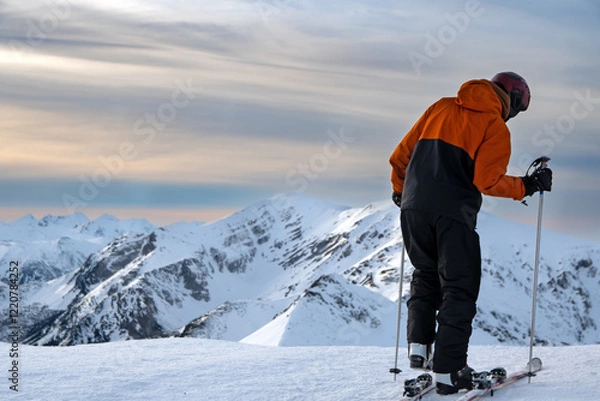 Obraz skier standing