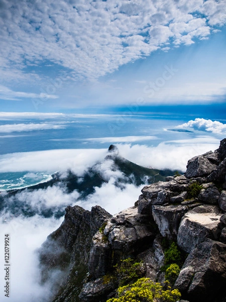 Obraz View From Table Mountain