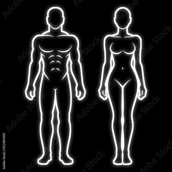 Fototapeta 白く発光する成人の健康な体型の男性と女性の線画シルエットイラスト　黒背景の切り抜き