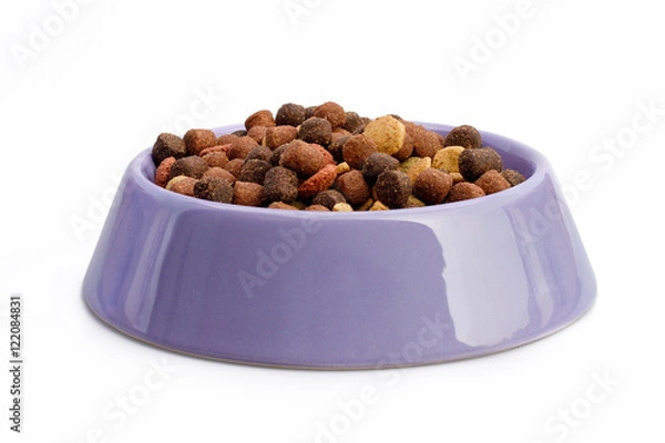 Obraz Dogowa karma sucha w misce