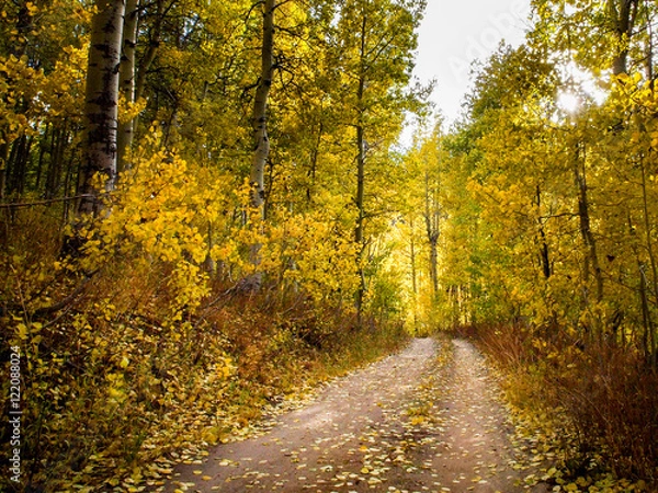 Obraz Lake Tahoe Fall