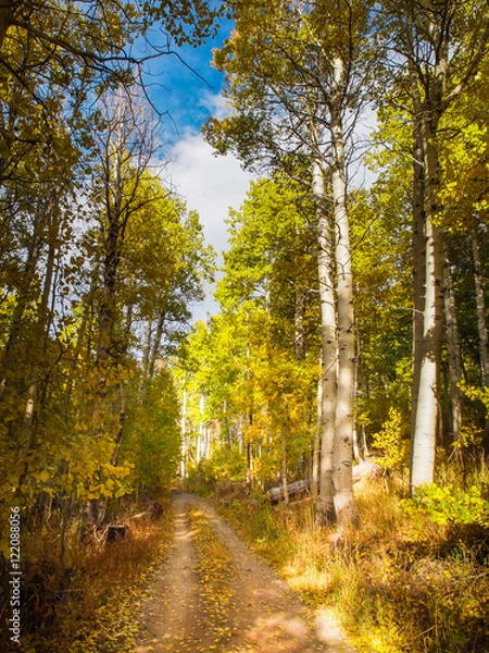 Obraz Lake Tahoe Fall