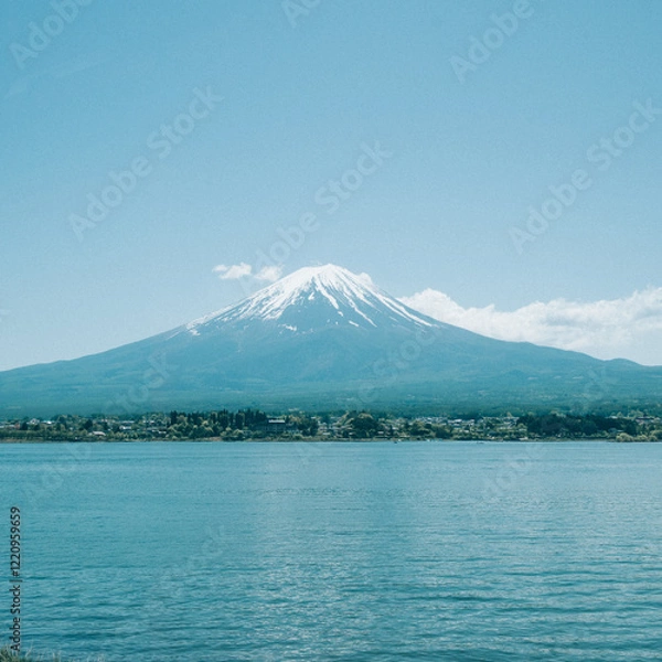 Fototapeta 富士山と河口湖と美しい植物