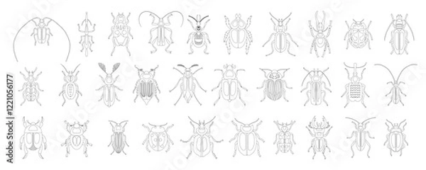 Fototapeta Coloring book of collection of bugs and beetles of variety types and kinds. Different insects. Nature and biodiversity insects species. Beetle set vector illustration isolated on white background.