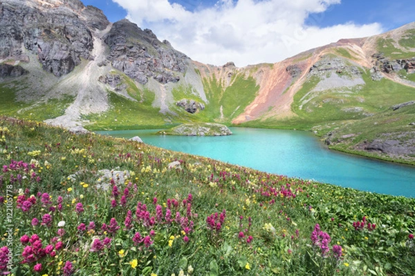 Obraz Wyspa Lake i wildflower w górach San Juan w pobliżu Silverton w stanie Kolorado