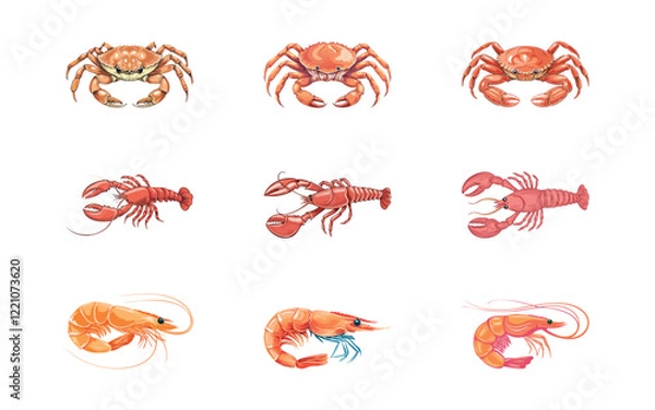 Fototapeta crab, lobster, shrimp hand drawn with three style