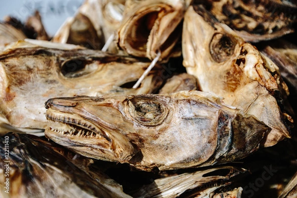 Obraz Stock fish head