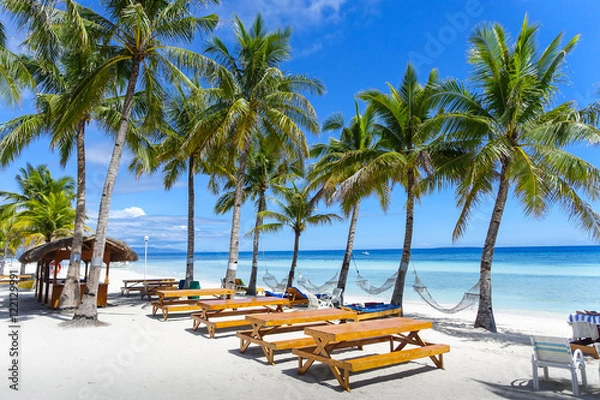 Obraz Resort Hammocks and Picnic Tables on Perfect Palm Tree Lined Beach - Panglao, Bohol - Philippines