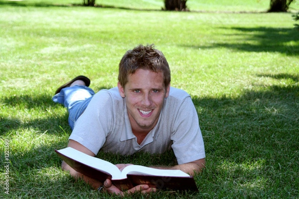 Obraz student in grass