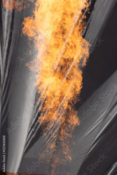 Obraz fire