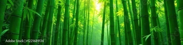 Fototapeta Lush collection of bamboo shoots and leaves, bamboo, forest