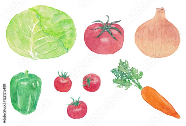 Obraz 水彩で描いた野菜のイラスト