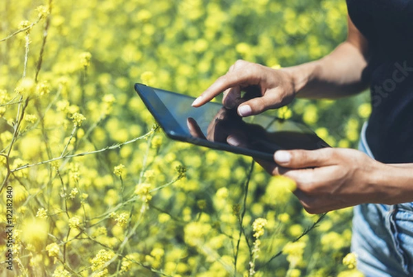 Fototapeta Hipster texting message on tablet computer, mockup of blank empty screen. Girl traveler using gadget on yellow flowers background close. Female hands photographer take view on cell camera
