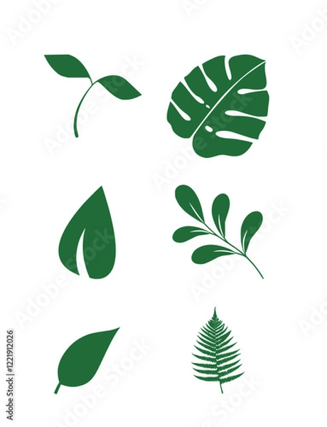 Obraz vector set of leaves