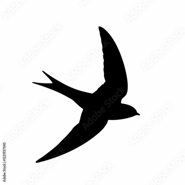 Fototapeta A black bird flying in the sky. The bird is flying in a straight line