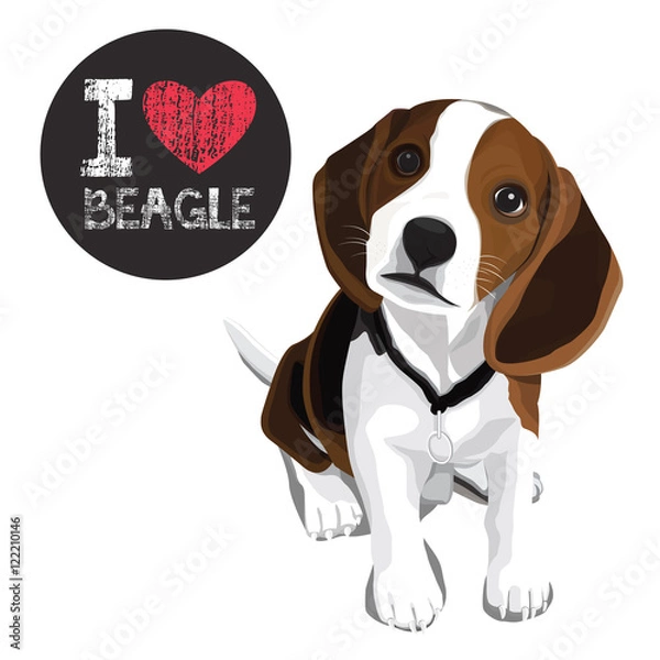 Obraz I Love Beagle