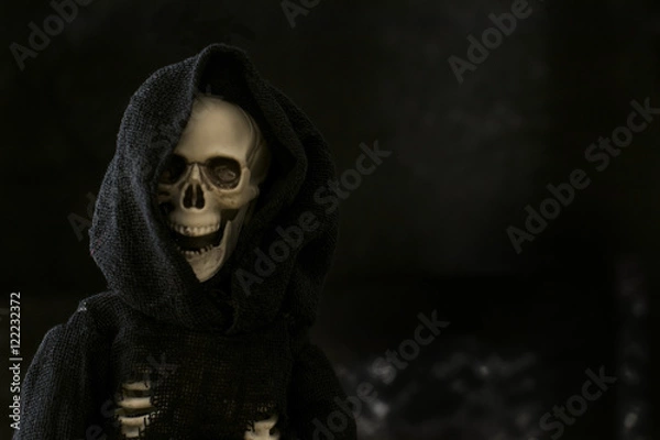 Fototapeta Grim reaper skeleton on black background