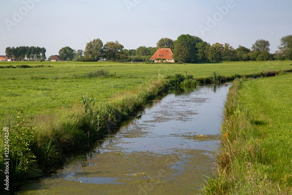 Fototapeta Typical landscape of Dutch province Friesland, with meadows, ditch and farm house