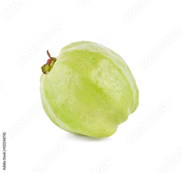 Fototapeta Guava (Psidium Guajava) leaf isolated on white background