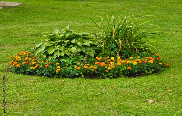 Fototapeta beautiful flower bed