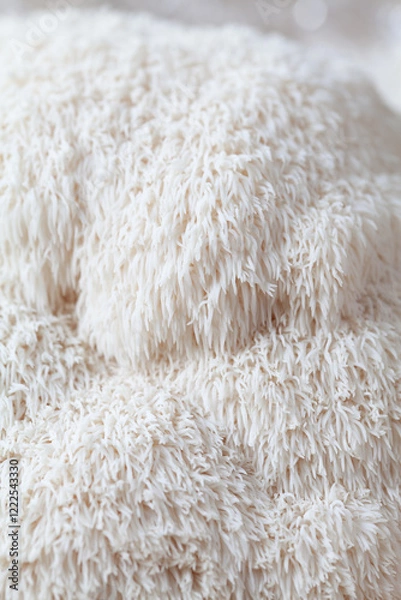 Fototapeta Lion's mane - Hericium erinaceus, medicinal mushroom, healthy fungus for brain function., It can be harvested for culinary use, acontains polysaccharides, such as β-glucan, hericenones and erinacines.
