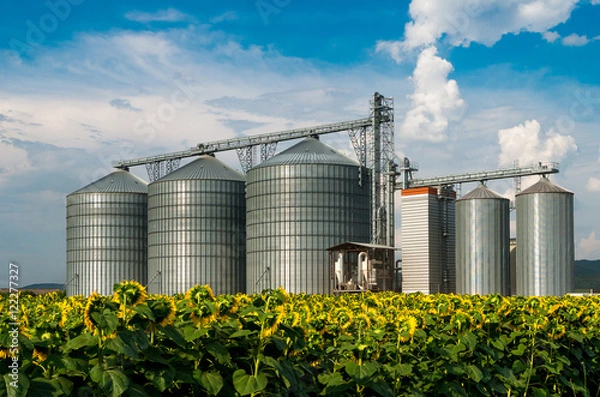 Obraz Silos for storing grain.