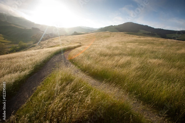 Obraz Fork in the road
